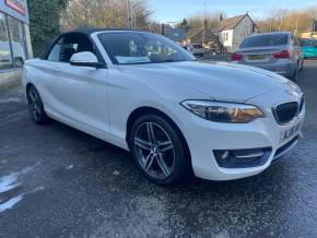 BMW 2 SERIES 2016 (16) at Firbank Van Sales Hyde